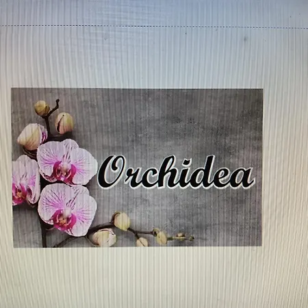 Orchidea Νάπολη